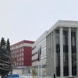 Pedepse cu executare pentru doi hoți care acționau la Rădăuți