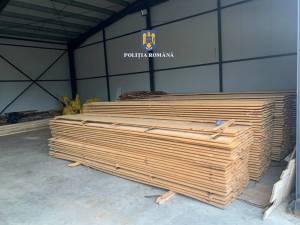 Peste 260 mc de material lemnos au fost confiscați de la două firme de profil