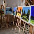 „Impresii artistice” ale artistului plastic Radu Bercea, la Fălticeni