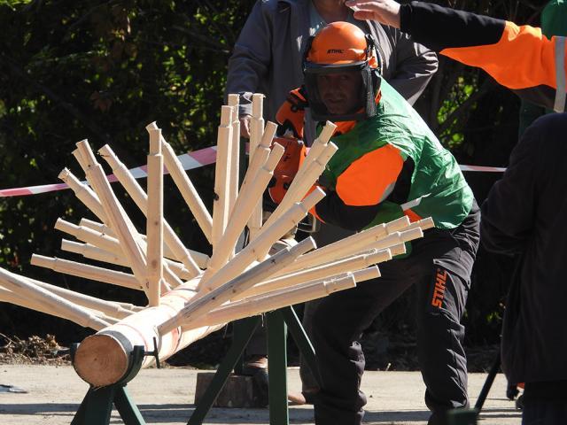 Concursul Național al Fasonatorilor Mecanici, organizat în cadrul evenimentului Ziua Forestierilor