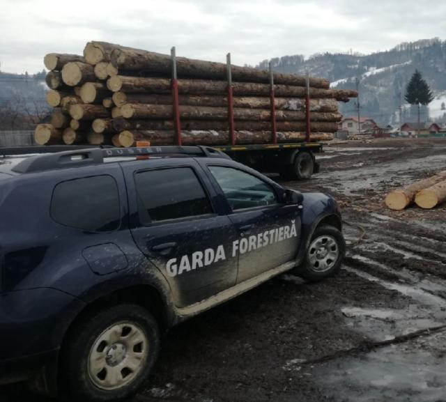 Garda Forestieră Suceava continuă verificările privind trasabilitatea materialelor lemnoase transportate pe drumurile publice