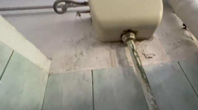Toalete respingătoare filmate de un elev la Colegiul Economic „Dimitrie Cantemir”