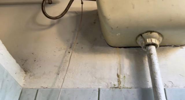 Toalete respingătoare filmate de un elev la Colegiul Economic „Dimitrie Cantemir”