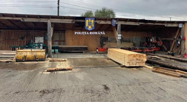 Caracatița traficanților de material lemnos din județ, deranjată de anchetatori de la București