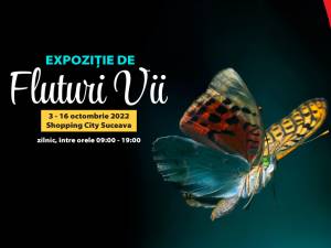 Expoziție cu peste peste 150 de fluturi vii din America de Sud și din Asia, la Shopping City Suceava