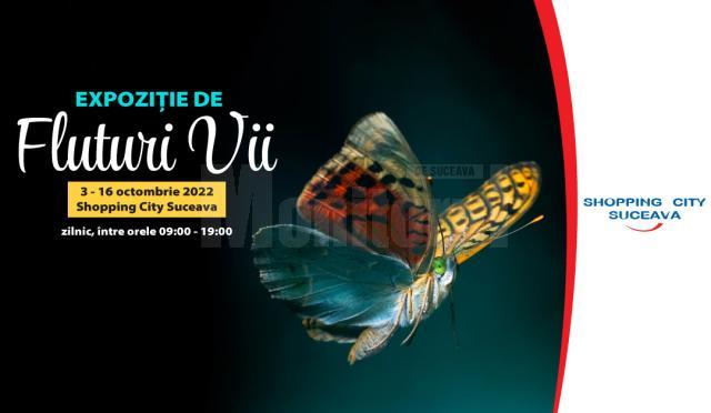 Expoziție cu peste peste 150 de fluturi vii din America de Sud și din Asia, la Shopping City Suceava