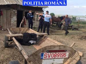 Intervenția poliției la locuința lui Nicu Stan, după cazul de maltratare a calului, în 2020
