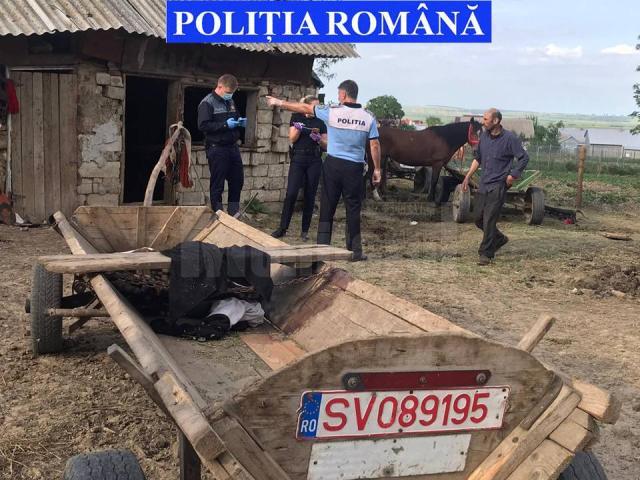 Intervenția poliției la locuința lui Nicu Stan, după cazul de maltratare a calului, în 2020