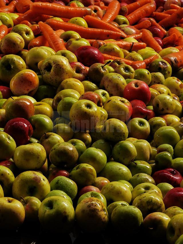 Sucuri naturale delicioase, produse din fructele şi legumele clienţilor, la Grande Bucovina