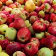 Sucurile naturale se obţin din fructele care se găsesc din belşug în această perioadă a anului – în special mere şi pere, la care se pot adăuga morcovi, sfeclă, ori alte legume 4