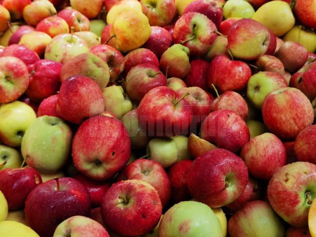 Sucurile naturale se obţin din fructele care se găsesc din belşug în această perioadă a anului – în special mere şi pere, la care se pot adăuga morcovi, sfeclă, ori alte legume 4