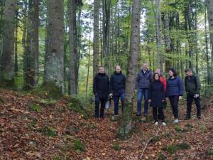 Studiul aplicabilității proiectului în teren forestier