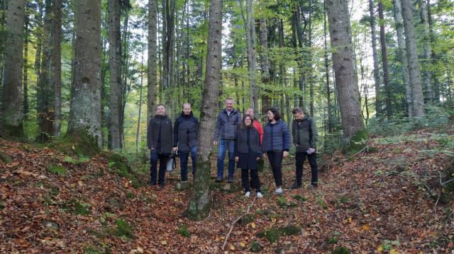 Studiul aplicabilității proiectului în teren forestier