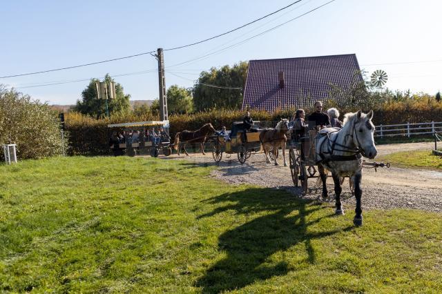 Oaspeții au fost plimbați în calești