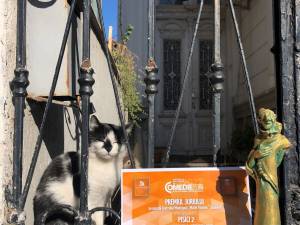 Premiul special al al juriului la Festivalul Național de Comedie, prezentat de Trupa Fără Zahăr
