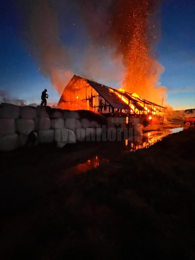 Mobilizare importantă de forțe pentru stingerea unui incendiu izbucnit la un adăpost de animale