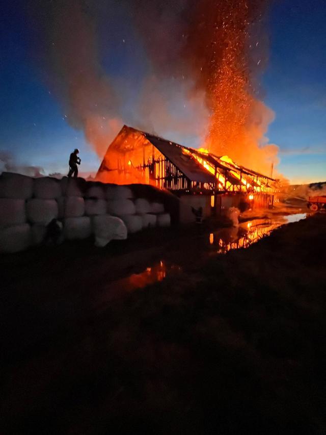 Pagube mari după un incendiu izbucnit la un adăpost de animale