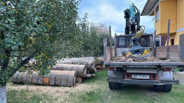 Lemnele descărcate și tăiate în curtea Postului de Poliție Arbore