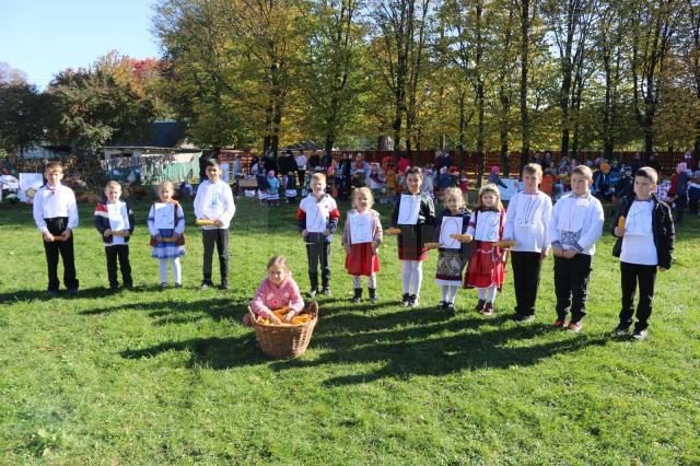 Bogățiile toamnei