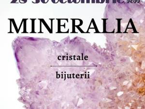Expoziția „Mineralia”, la parterul Muzeului de Științele Naturii Suceava