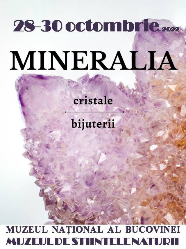 Expoziția „Mineralia”, la parterul Muzeului de Științele Naturii Suceava
