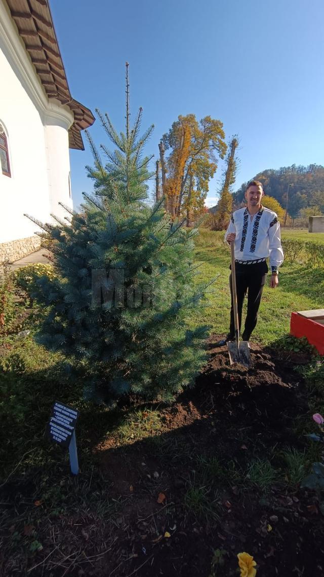 Marius Cozmiuc a plantat un brad în curtea bisericii din Costâna