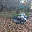 Mai mulți saci cu gunoaie, abandonați în parcul Șipote