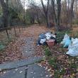 Mai mulți saci cu gunoaie, abandonați în parcul Șipote