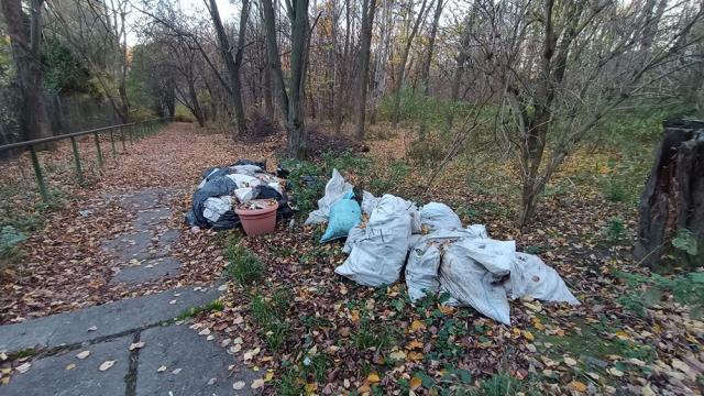 Mai mulți saci cu gunoaie, abandonați în parcul Șipote