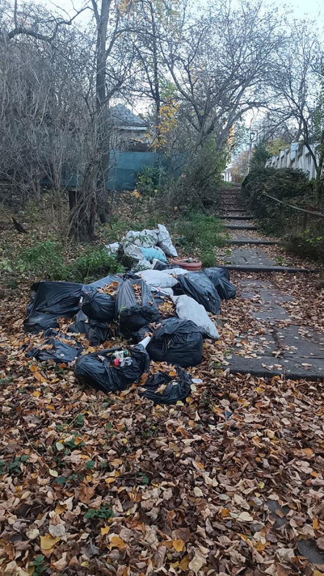 Mai mulți saci cu gunoaie, abandonați în parcul Șipote