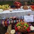 Ziua Recoltei în „Satul românesc de altădată”