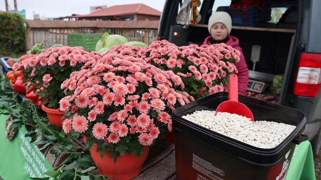 Ziua Recoltei în „Satul românesc de altădată”