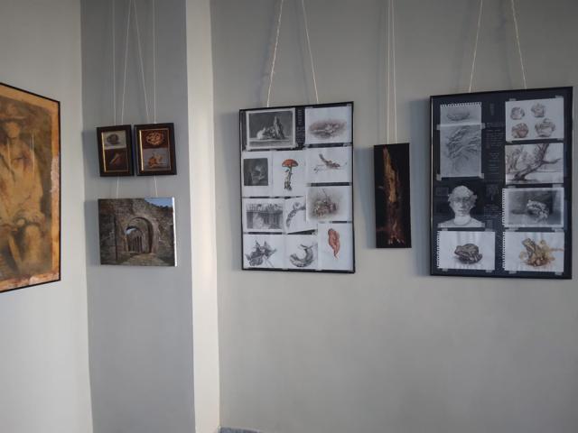 Expoziție semnată de artistul Sorin Baciu, la Galeria de Artă „Ion Irimescu” Suceava