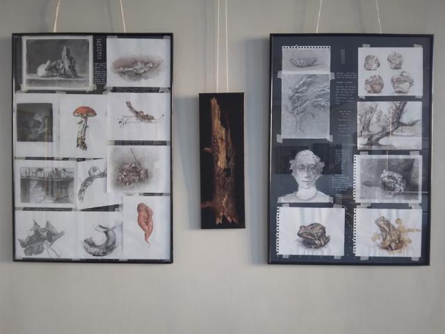 Expoziție semnată de artistul Sorin Baciu, la Galeria de Artă „Ion Irimescu” Suceava