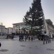 Bradul de Crăciun a fost adus în centrul Sucevei și va fi ornat cu o nouă instalație de iluminat