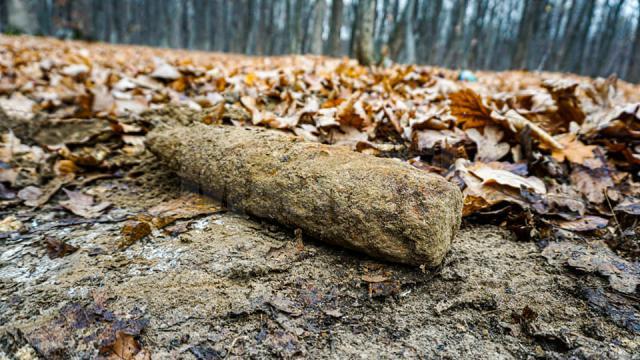 Proiectil din al Doilea Război Mondial, găsit în pădure la Adâncata