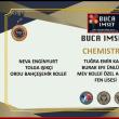 Elevi premiaţi la concursul BUCA IMSEF, în Turcia