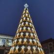 Noua instalație luminoasă a bradului de Crăciun din centrul Sucevei
