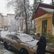 Arbori rupți sub greutatea zăpezii, în mai multe zone ale municipiului Suceava 4