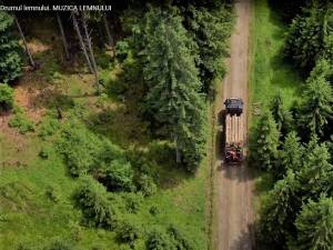 „Drumul lemnului. Muzica lemnului” – al doilea film documentar produs de ASFOR