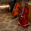 „Drumul lemnului. Muzica lemnului” – al doilea film documentar produs de ASFOR