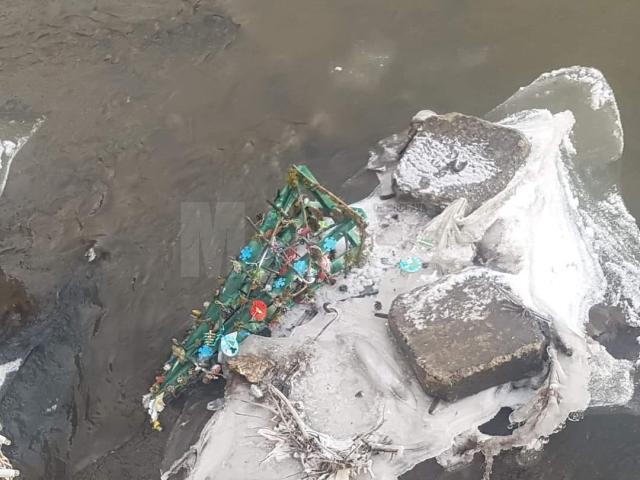 Doi „viteji” au aruncat în râul Dorna „brăduțul copilăriei” împodobit de preșcolarii unei grădinițe din Vatra Dornei