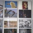 Cele mai bune fotografii ale Salonului Internațional de Artă Fotografică „Bucovina Mileniul III”, expuse la Muzeul de Istorie
