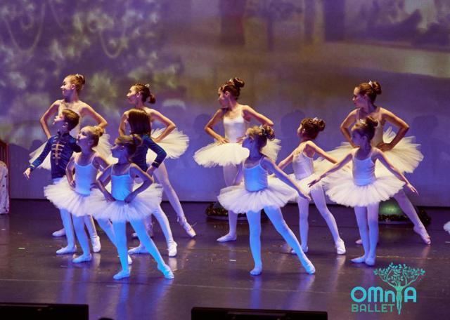 Omnia Ballet Suceava