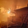 Patru gospodării, afectate de un uriaș incendiu. Patru persoane au suferit arsuri sau atacuri de panică