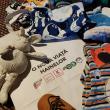 „O nouă viață hainelor” – proiect prin care sucevenii învață avantajele reutilizării articolelor vestimentare