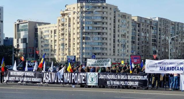 Protest al silvicultorilor în Capitală