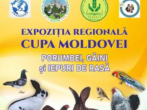 Sala de sport din Todireşti va găzdui o expoziție regională de iepuri, porumbei și găini