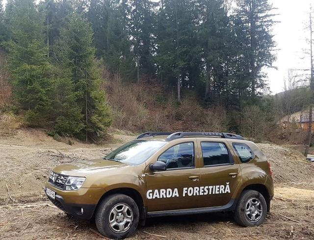 Inspectorii Gărzii Forestiere Suceava l-au sancționat cu peste 175.000 lei (35.000 euro) pe un agent economic care folosea la producție lemn fără acte