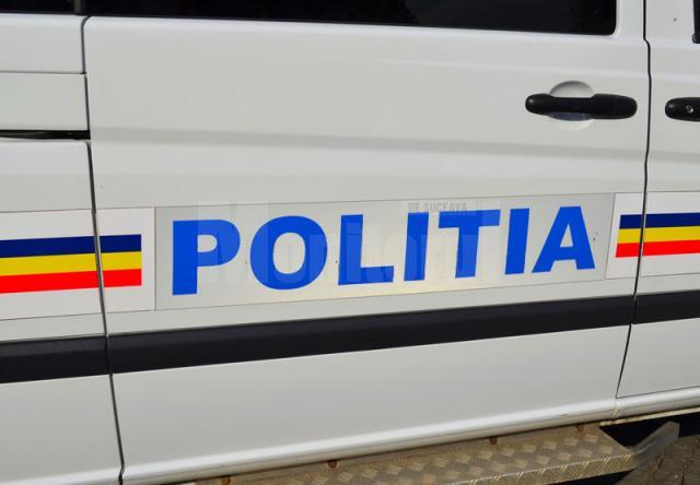 Autotren de 30.000 de euro, confiscat pentru transport de rumeguș fără acte